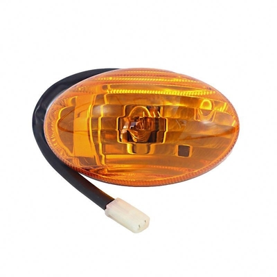 Personalizza il logo Foton Aumark Truck Ollin Car Door Light con prestazioni e 12V Right