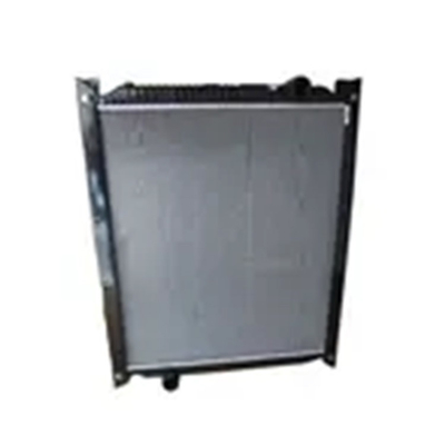 Parti per autoveicoli Howo 375 Dump Truck Radiator Modello WG9719530276 per Foton Car Fitting