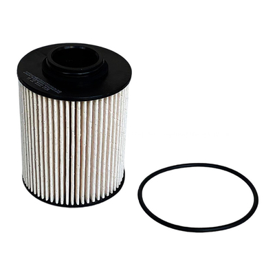 0.07kg Foton Aumark Filtro di carburante P111000000245 per la pelle marziana Original