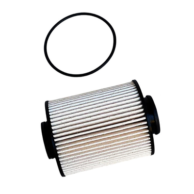 0.07kg Foton Aumark Filtro di carburante P111000000245 per la pelle marziana Original