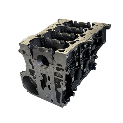 Foton Aumark Ojai 2.5 Motore assemblaggio del blocco cilindrico PM2210Y2401091180J RF2401050382