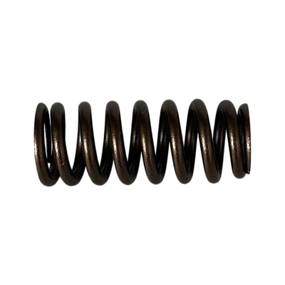 Foton AUCAN 2.5 Motore 4F25TC Valve Spring PM40004174 Perfetto per Foton Aumark